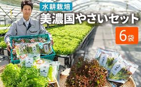 美濃国やさいセット 計6袋 ｜ 野菜 野菜セット レタス フリルレタス 水耕栽培 安全 安心 衛生的 新鮮 シャキシャキ 産地直送 サラダ サンドイッチ ※離島への配送不可