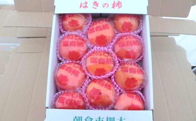 柿 冷蔵柿 11～12玉 ファームステーションバサロ 果物類 かき 