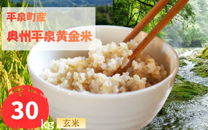 【先行予約受付中！】令和8年産 11月以降順次発送！ 平泉町産 奥州平泉黄金米 玄米30kg / こめ コメ 米 お米 おこめ 玄米 ご飯 ごはん ライス 山水【aoki018A】