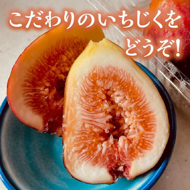 期間限定【農園のめぐみ】甘味が凝縮いちじく750g×2《 数量限定 限定 果物 くだもの フルーツ いちじく 無花果 送料無料 》【2401C08210】