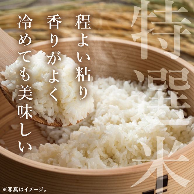 筑波山麓・羽鳥の沢水米 コシヒカリ 精米 10kg【茨城県共通返礼品：桜川市】|お米 米 こしひかり 茨城県 取手市（CA002）