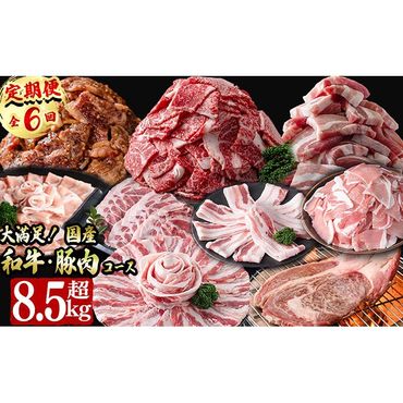 【定期便全6回】大満足！和牛・豚肉定期便(6ヶ月連続・総量8.5kg以上) t0074-001