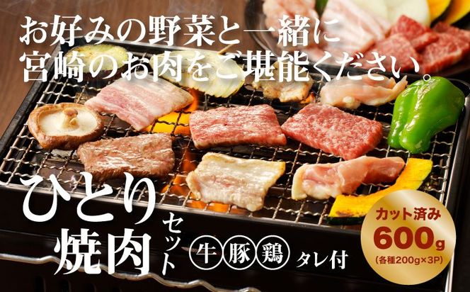  宮崎県産焼肉３種セット【タレ付き】（牛・豚・鶏） 計６００ｇ  カット済み  K16_0079_1