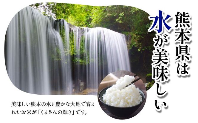 令和7年産 米 お米 こめ 荒木さんちのお米 くまさんの輝き 5kg 荒木農産 熊本県産 御船町《10月より順次出荷》 コメ おこめ 熊本 御船 御船 白米 ごはん---mifune_arn_1_5kg---