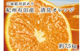 【ご家庭用訳アリ】紀州有田産清見オレンジ7.5kg サイズお任せ ※2027年3月下旬頃〜2027年4月下旬頃に順次発送予定(お届け日指定不可) 【uot730】