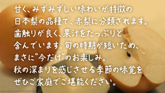 あきづき 2.5kg 【 2026年9月上旬発送開始 】 ( 茨城県共通返礼品：大子町 ) 梨 なし 果物 くだもの フルーツ 秋月 ナシ 農家直送 産地直送