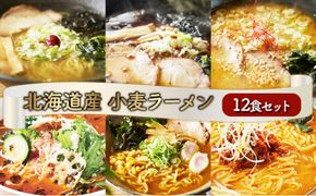 【6種の味が楽しめる】ラーメン 北海道産小麦の生ラーメン 12食セット (6種×2食) | ラーメン らーめん 拉麺 中華そば ramen 食べ比べ 詰め合わせ ご当地 みそ しょうゆ しお カレー トマト お取り寄せ グルメ 冷蔵 望月製麺所