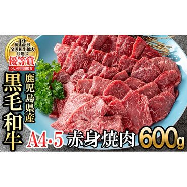 【数量限定】鹿児島県産 A4・A5等級うしの中山黒毛和牛赤身焼肉用600g a5-263