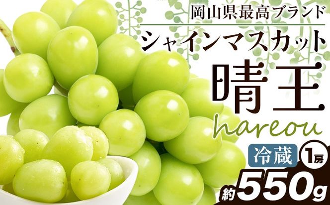 ぶどう [2025年先行予約] シャインマスカット 晴王 550g《2025年9月中旬-11月上旬頃出荷》ハレノスイーツ 岡山中央卸売市場店 マスカット 送料無料 岡山県 浅口市 フルーツ 果物 贈り物 ギフト 国産 【配送不可地域あり】---124_c905_9c11j_24_19000_550---