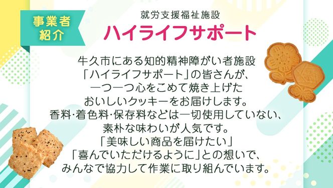 オートミールクッキー 2種 10枚 詰め合わせ 詰め合わせ クッキー くるみ ドライフルーツ スイーツ 猫 ねこ ネコ お菓子 おやつ お取り寄せ お土産 プチギフト 贈り物 お祝い ギフト 国産 茨城 [ET001us]