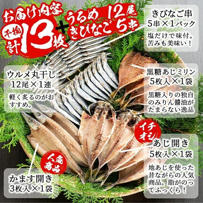 鹿児島県産！干物詰め合わせ(5種)国産 九州産 魚介 ひもの 干物 乾物 鯵 あじ かますな きびなご ウルメ セット 詰合せ【又間水産】a-12-9-z