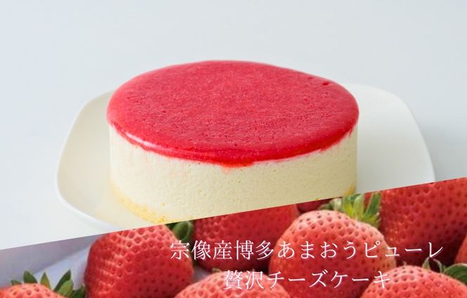 y@sz܂A`[YP[Lu[v2ZbgỷwނȂz_HA1832