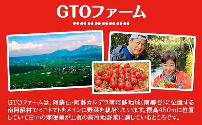 ドライミニトマト セット 60g トマト ミニトマト 野菜 GTOファーム 熊本県 南阿蘇村《7月上旬-10月末頃出荷》---sms_gtodmt_af710_26_4500_60g---