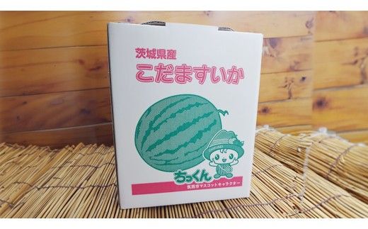 希少品種 「 紅トップ 」 1玉 ( Lサイズ ) 茨城県産 こだますいか 小玉 すいか スイカ 西瓜 フルーツ 果物 [AG006ci]