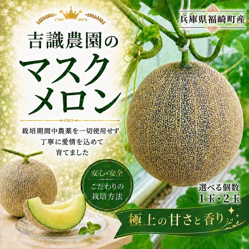 マスクメロン「パノン」 農薬不使用栽培 贈答用 化粧箱入り お届け:7月下旬〜9月上旬