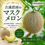 マスクメロン「パノン」 農薬不使用栽培 贈答用 化粧箱入り お届け：７月下旬～９月上旬