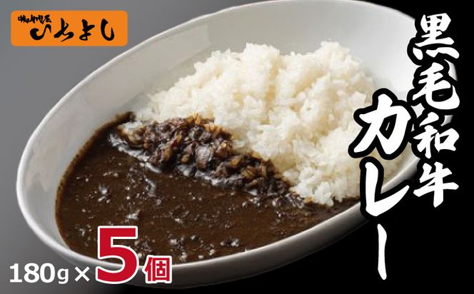 G1363 【スピード発送】焼肉問屋いちよし 和牛カレー 180g×5個