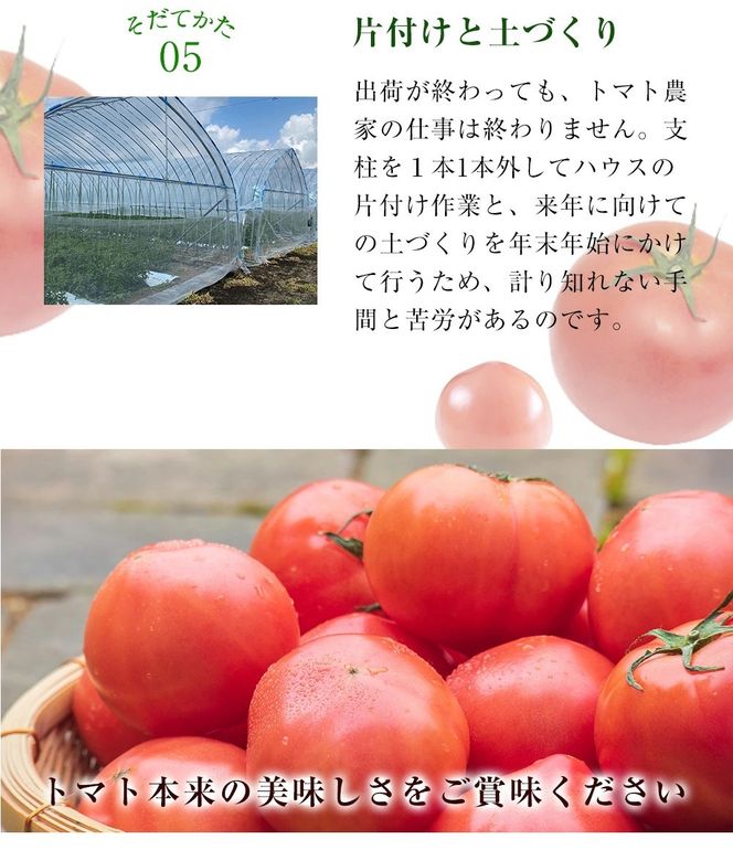 曽爾村特産高原トマト約2kg　令和8年度産※電話での調整後順次発送（北海道・沖縄県への送付不可）