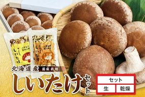 【木箱入】北海道産 生しいたけ(菌床) 乾しいたけ(ひと口・スライス)セット ( きのこ キノコ 椎茸 シイタケ )【038-0008】
