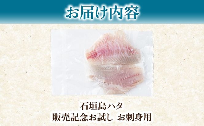石垣島 ハタ 販売記念お試しお刺身用 | 勝水産 ミーバイ ヤイトハタ 沖縄県石垣市 石垣 沖縄 石垣市 石垣島 KS-16