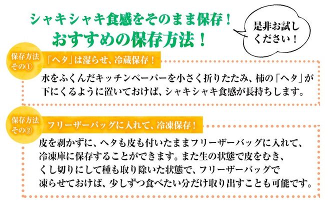 熊本県大津町産 タカハマ観光農園の太秋柿 約2.5kg《10月上旬-11月下旬頃出荷》---oz_thm_3_2500g---