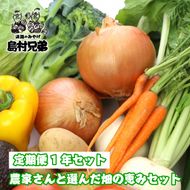 【定期便１年セット】農家さんと選んだ畑の恵みセット　野菜詰め合わせ
