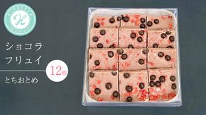 ショコラフリュイ とちおとめ 12枚 チョコレート チョコ スイーツ デザート 高級 ギフト 贈り物 お礼 プレゼント 手土産 お菓子 [DJ49-NT]