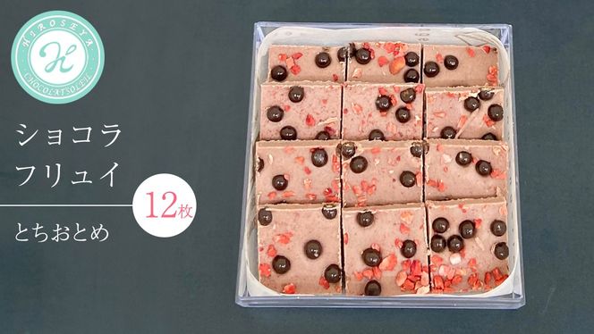 ショコラフリュイ とちおとめ 12枚 チョコレート チョコ スイーツ デザート 高級 ギフト 贈り物 お礼 プレゼント 手土産 お菓子 [DJ49-NT]