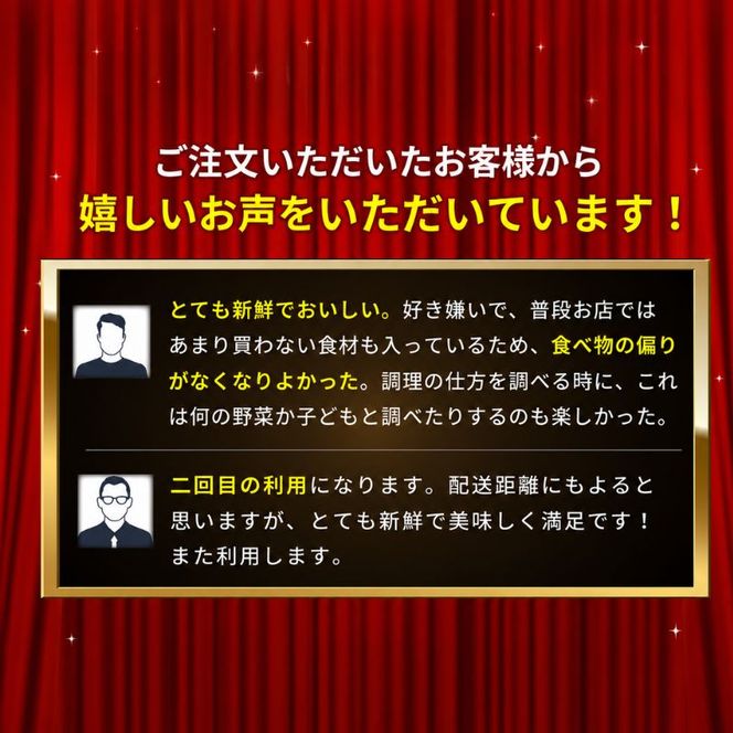 とれたて 野菜 パック 定期便 4回 2ヶ月おき 季節の野菜 セット 詰め合わせ 8品前後 野菜セット 野菜詰め合わせ ジャガイモ 人参 大根 小松菜 白ネギ グリーンリーフ チンゲン菜 椎茸 トマト 水菜 葉ネギ 人気 厳選 静岡県
