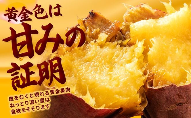 訳あり紅はるか サツマイモ 選べる 1.5kg 3kg 5kg 10kg 《2026年1月上旬-5月末頃出荷予定》紅はるか さつまいも 熊本県 大津町 イモ 芋 さつまいも 訳あり---oz_jsmih_26_af15_3500_1500g---