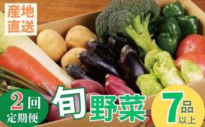 季節のお野菜詰め合わせセット 定期便 2回 旬のおまかせ 詰め合わせ 産地直送 季節の新鮮 野菜 定期便 果物 セット じゃがいも きゅうり トマト とうもろこし アスパラガス 玉ねぎ 蓮根 等 ふるさと納税 高知県 室戸市 rk051
