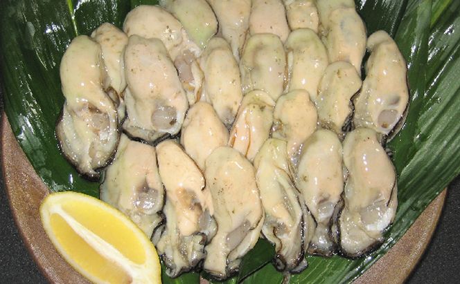 牡蠣 2026年 先行予約 牡蠣むき身 500g×2パック（合計1kg） 山銀商店 瀬戸内海虫明湾産 魚貝類 生牡蠣 かき 魚介類 カキ 加熱調理用 