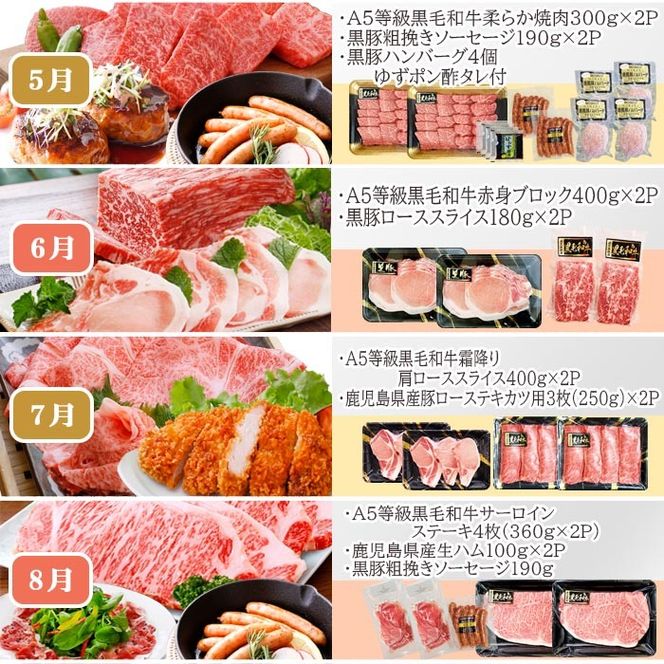 お肉の定期便(12回)枕崎お楽しみ便(A5等級黒毛和牛・黒豚・黒豚加工品etc) KK-6003 【1166746】