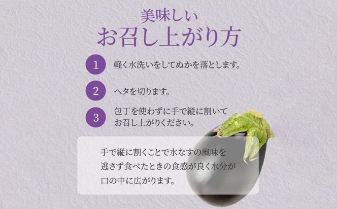 099H4573 水なす浅漬け 5個 水なす染めタオルハンカチセット【新鮮 野菜 泉佐野産 茄子 やさい 高評価 数量限定】