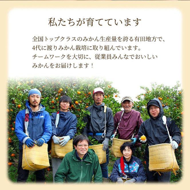 家庭用 完熟 有田みかん1kg+250g（傷み補償分）サイズ混合
