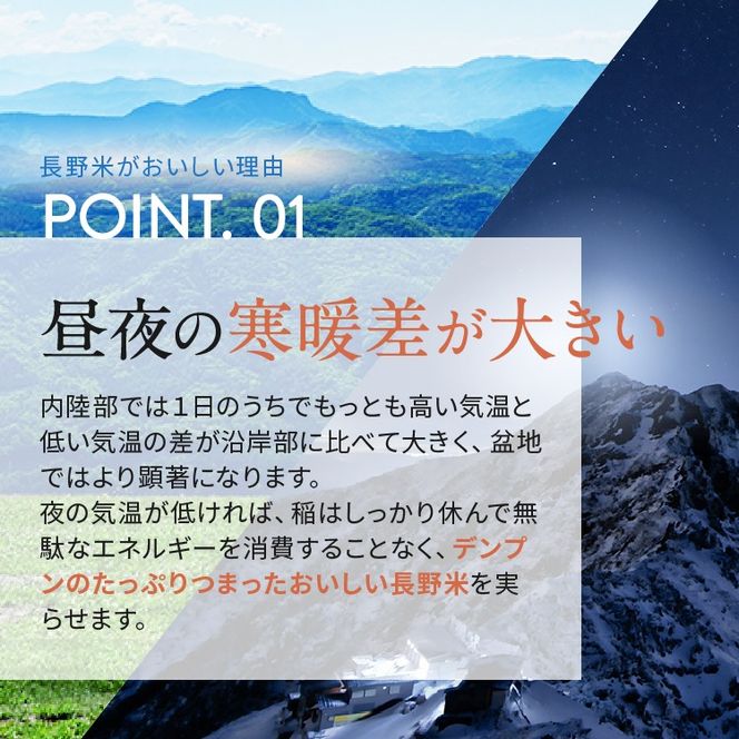 令和8年度 伊那市田原産米 コシヒカリ 5キロ ｜ 米 コシヒカリ 田原産 お米 伊那 伊那産 長野県【011-d1】