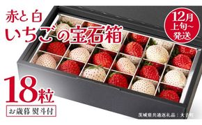 【 お歳暮 熨斗付き 】 赤いちご と 白いちご の宝石箱18粒 (茨城県共通返礼品：大子町) いちご 苺 果物 フルーツ 果実 贈答用 ギフト 贈り物