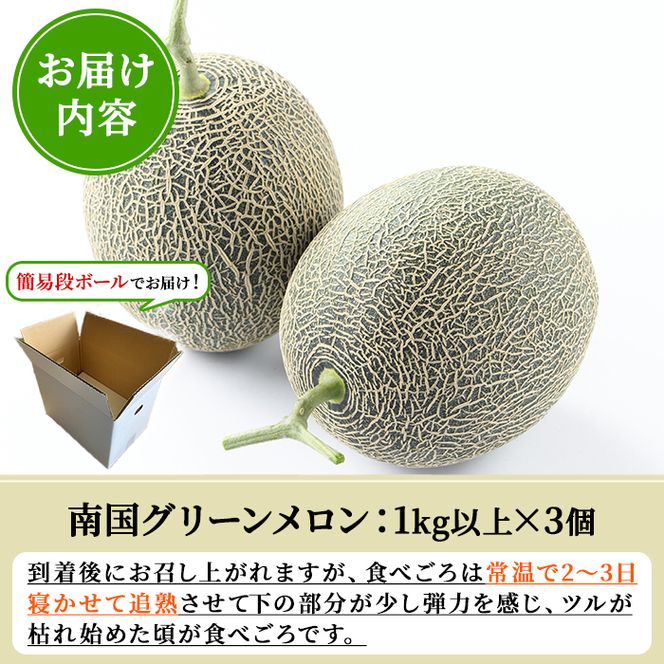 ＜先行予約受付中！2027年6月中旬以降順次発送予定＞ 数量限定！鹿児島県産南国グリーンメロン(1.0kg以上×3個) メロン フルーツ デザート 果物 鹿児島 国産 阿久根市産 青肉 ハウス ハウス栽培 期間限定 【東新グリーンファーム合同会社】akn062-12