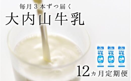 牛乳 【12か月定期便】大内山牛乳の定期便　1L×3本を12か月連続でお届け！　牛乳 ミルク 成分無調整牛乳 定期便【tkb405】