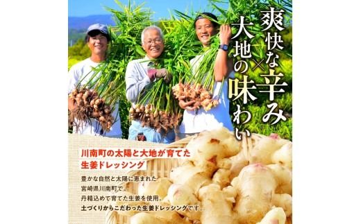 脇田農園産　生姜農家が作った生姜ドレッシング3本セット 【 生姜 ショウガ 国産 宮崎県産 九州産 川南町産 農家直送 しょうが ドレッシング 】 [C07001]