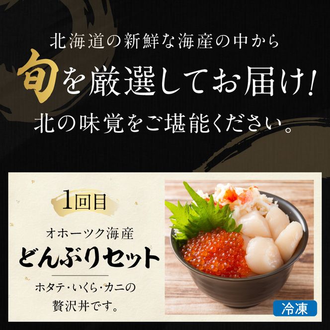  【3ヶ月定期便】船長おすすめ！海の幸セット ( ほたて ホタテ 海鮮丼 ほっけ 鮭 いか サーモン しじみ 定期便 魚介 )【999-0195】