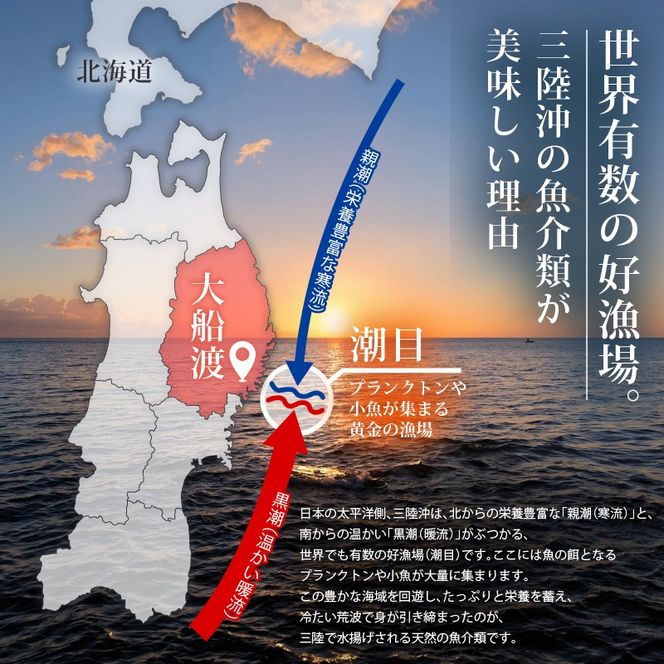 大船渡産 冷蔵 活ホヤ 5個 [下処理あり] 産地直送 朝どれ ほや 海鞘 海産物 海鮮 魚介 魚介類 珍味 大船渡 被災 災害 三陸 岩手県 国産