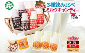 783.牛のおっぱいミルク 3本 コーヒーミルク3本 のむヨーグルト3本 計9本 おっぱいミルクキャンディー1個 セット 牛乳 生乳 ミルク 牛 酪農 飲料 しぼりたて 珈琲 ヨーグルト 飴 お取り寄せ ギフト gift まとめ買い 北海道 弟子屈町