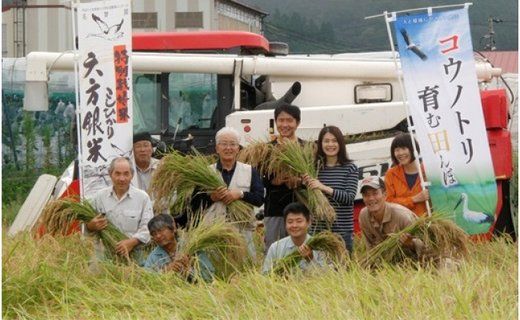 令和7年産 減農薬米 特別栽培米 六方銀米 コシヒカリ 10kg / 減農薬 米  お米 10キロ 精米 白米 コウノトリ米 コメ こめ ご飯 ライス こしひかり 兵庫県産
