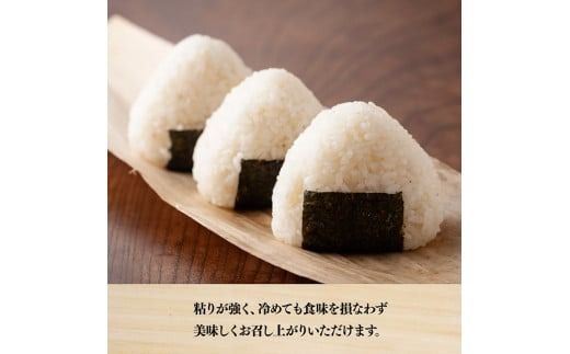 【令和6年産】永友農園産「夏の笑み」10kg(5kg×2) 【 2024年産 米 お米 白米 精米 国産 宮崎県産 国産米 】[D10610]