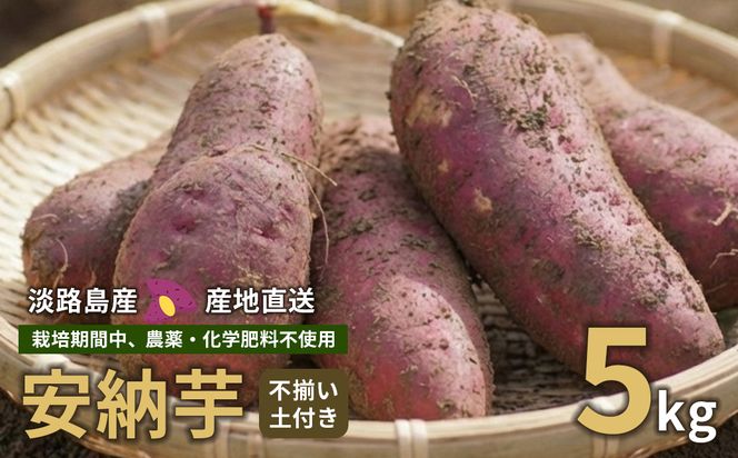 【産地直送】安納芋（淡路島産）土付き　約5kg　不揃い【栽培期間中、農薬・化学肥料不使用】さつまいも