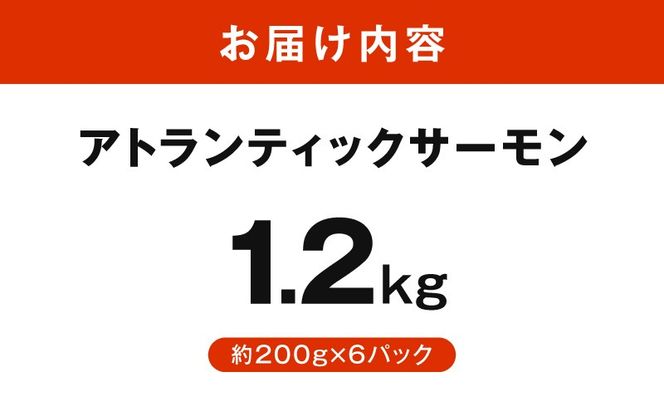 G3561 アトランティックサーモン 1.2kg【小分け 200g×6P 柵切り 刺身 魚介 海鮮 さーもん 生食】