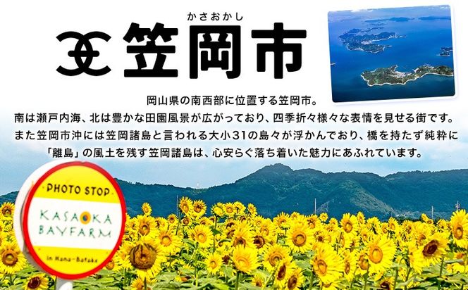 岡山県 笠岡市 応援寄附 1口 30000円【返礼品なし】---gift-none3---