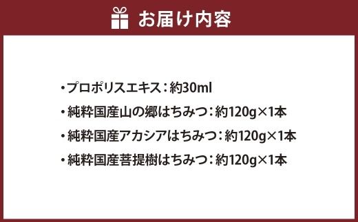 プロポリスエキス 約30ml ・ 国産はちみつ 3本入り セット グリーンプロポリス プロポリス はちみつ ハニー 日本産 百花蜜 アカシア 菩提樹 健康 栄養 加工品 常温 詰め合わせ