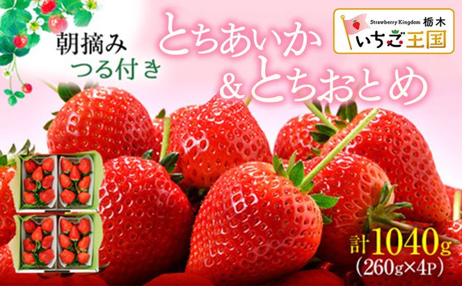 【先行予約】いちご あいか×おとめハーフ＆ハーフ 4パック ※2027年3月～発送